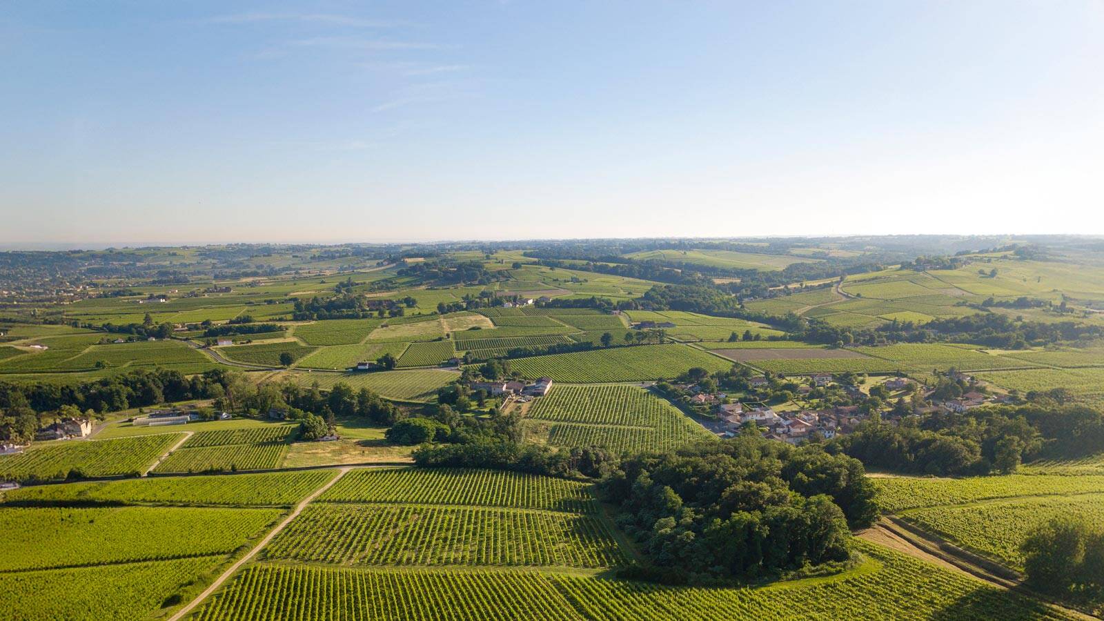 medoc